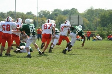 Enlarge photo 235