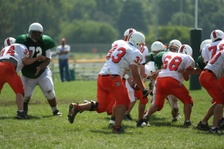 Enlarge photo 237