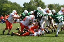 Enlarge photo 242