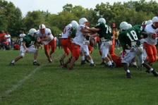 Enlarge photo 246