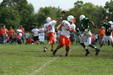 Enlarge photo 248