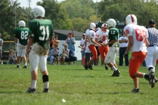 Enlarge photo 249