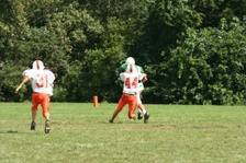 Enlarge photo 258