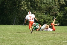 Enlarge photo 259