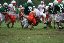 Enlarge photo 262