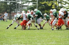 Enlarge photo 264