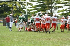 Enlarge photo 267