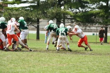 Enlarge photo 269