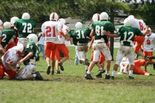 Enlarge photo 270