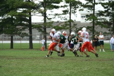 Enlarge photo 275
