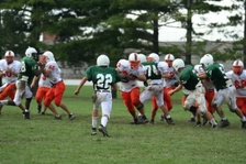Enlarge photo 278