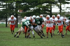 Enlarge photo 279