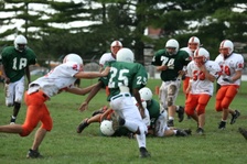 Enlarge photo 281