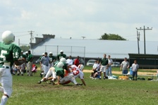 Enlarge photo 290