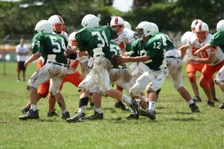 Enlarge photo 293