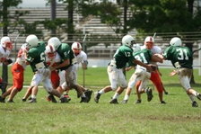 Enlarge photo 296