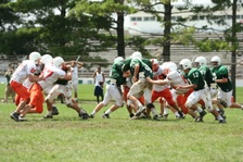 Enlarge photo 299