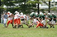 Enlarge photo 301