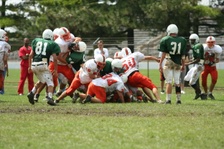 Enlarge photo 303
