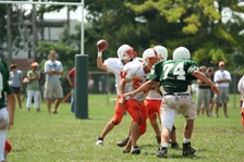 Enlarge photo 308