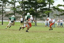 Enlarge photo 309