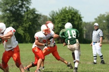 Enlarge photo 312