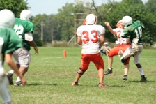 Enlarge photo 313