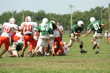 Enlarge photo 325