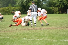 Enlarge photo 327