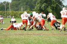 Enlarge photo 329