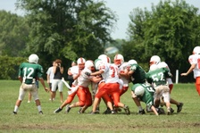 Enlarge photo 331