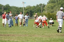Enlarge photo 334