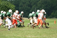 Enlarge photo 335