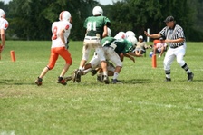 Enlarge photo 338