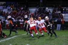 Enlarge photo 43