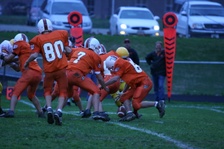 Enlarge photo 59