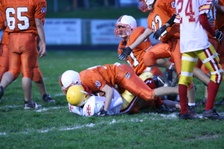 Enlarge photo 65