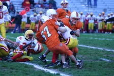 Enlarge photo 47