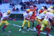 Enlarge photo 51