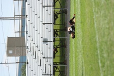 Enlarge photo 312