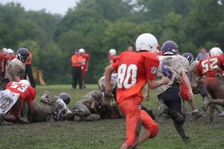 Enlarge photo 13