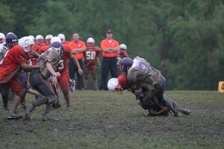 Enlarge photo 40