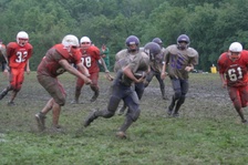 Enlarge photo 45