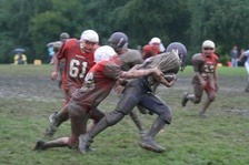 Enlarge photo 46
