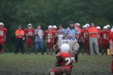 Enlarge photo 47