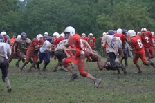 Enlarge photo 49