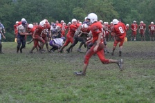 Enlarge photo 50