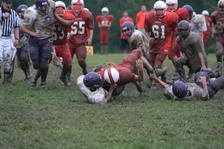 Enlarge photo 51
