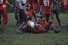Enlarge photo 52