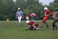 Enlarge photo 54